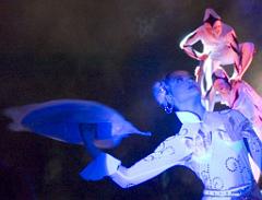 Acrobats Start